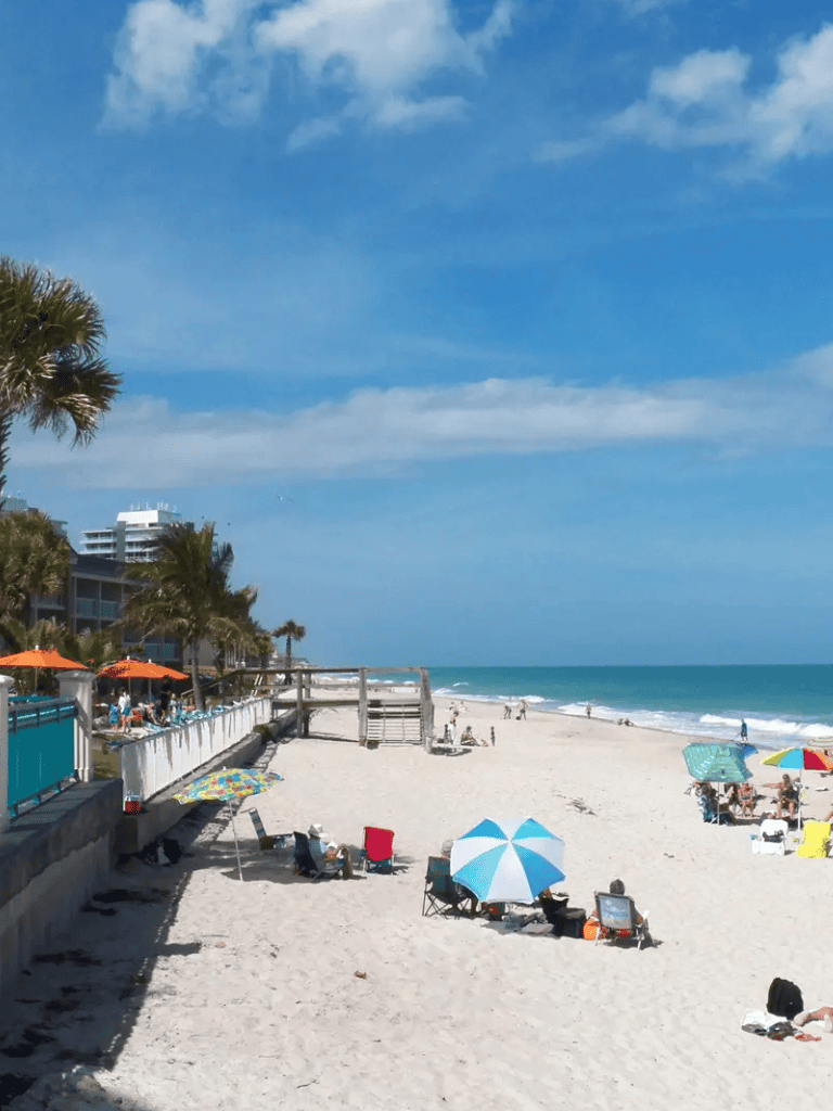 Bright sunny beach with colorful umbrellas and palm trees, perfect for relaxing and enjoying coastal scenery.