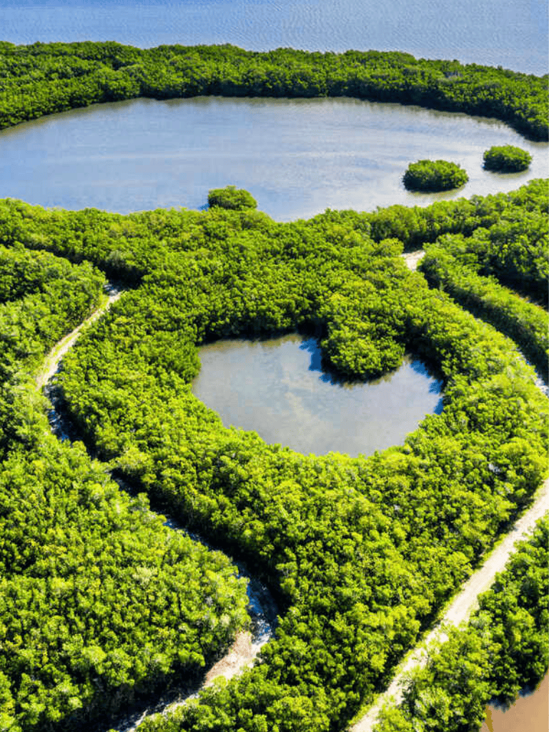 Lush green forest with lakes, aerial view, natural landscape, outdoor adventure, scenic nature.