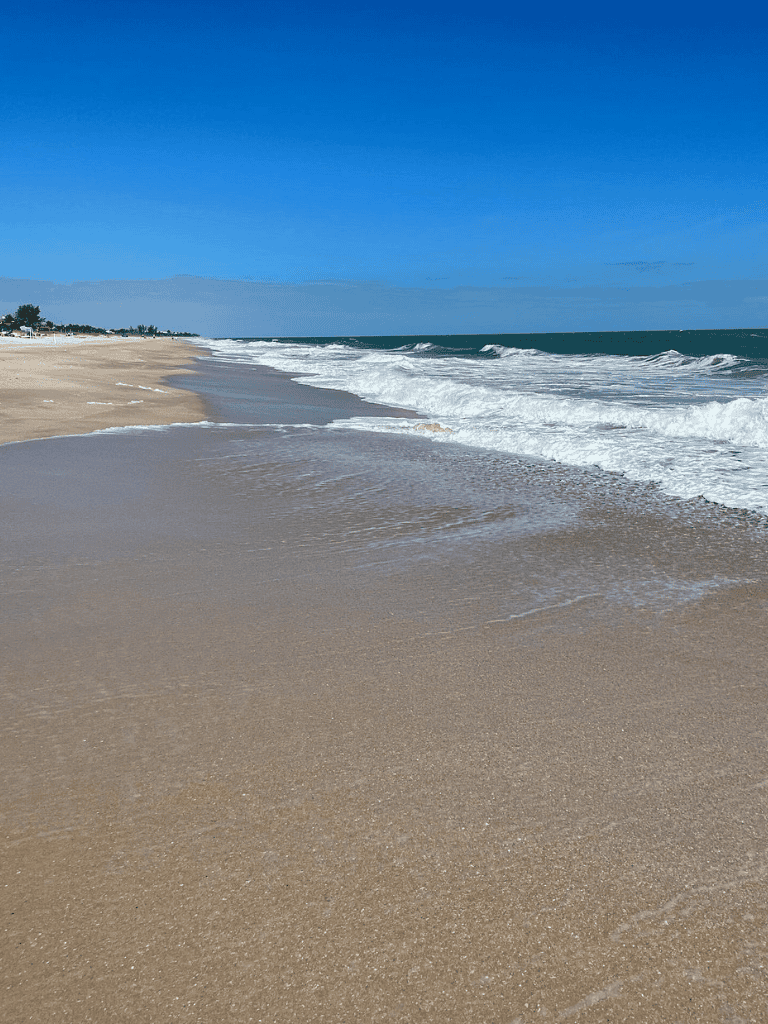 Serene beach scene with sandy shore and ocean waves under a clear blue sky.