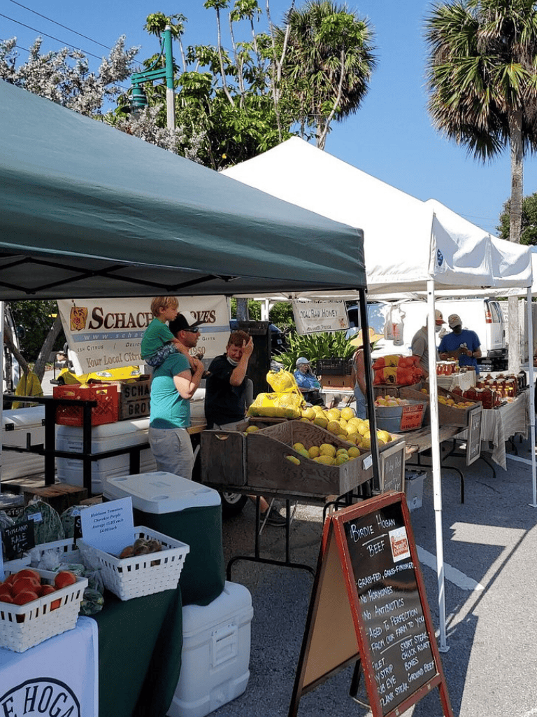 Fresh citrus fruits vendor at local farmers market with tents and palm trees in background.