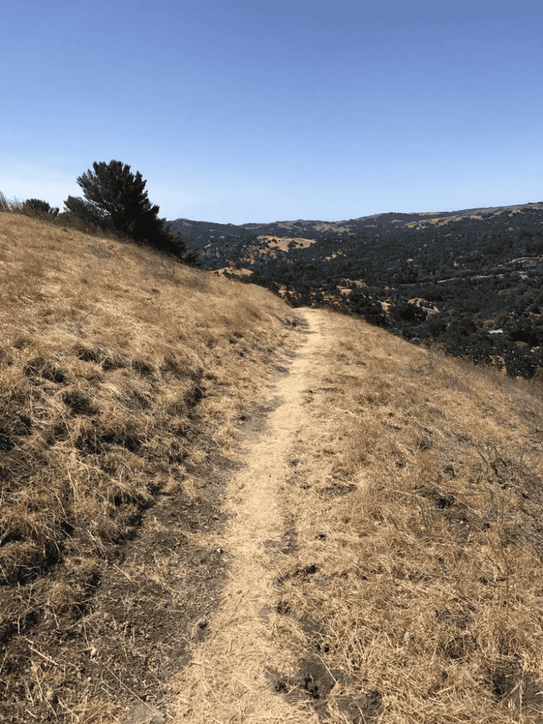 Wilderness hiking trail in dry grassland with hills and sparse trees under clear blue sky.