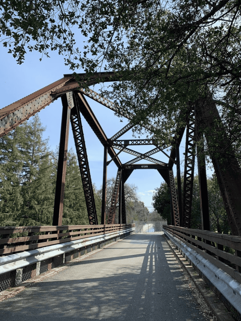 1. Rusty iron bridge over a tranquil river in a lush forest setting.