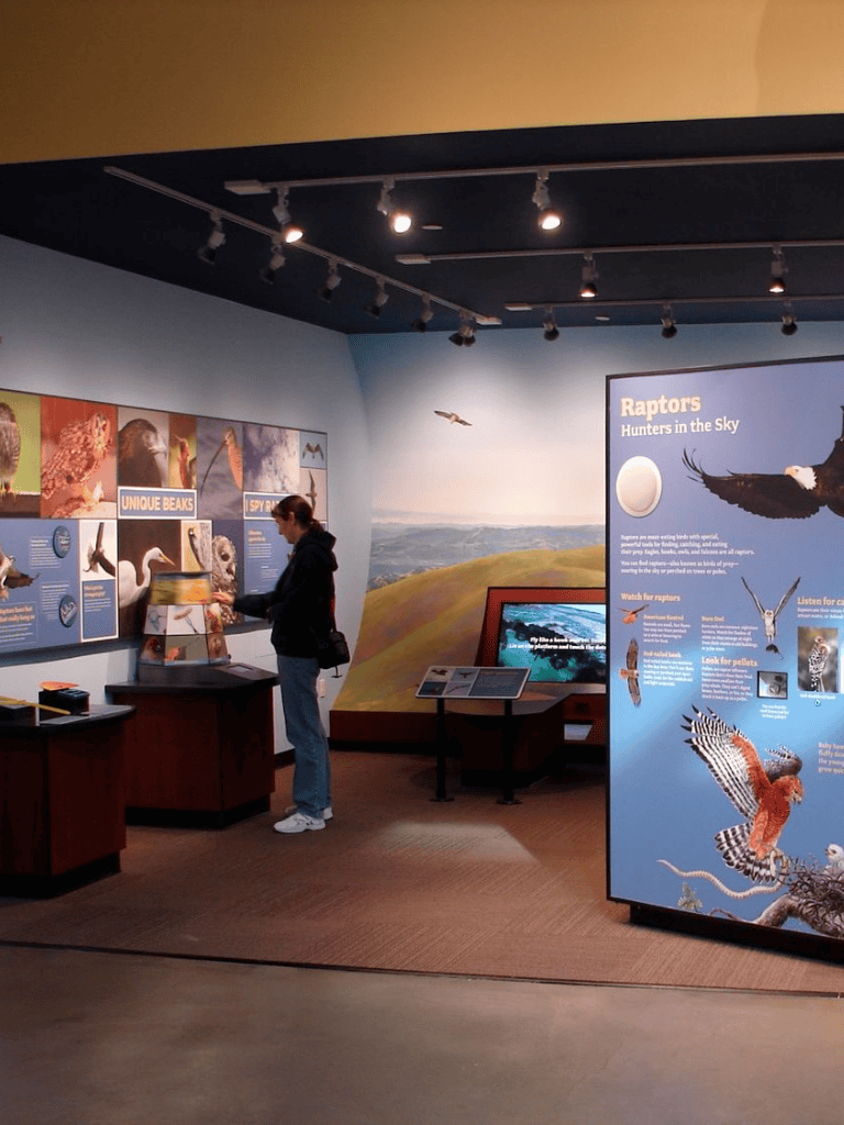 Bird exhibit at natural history museum with Raptors and wildlife displays.