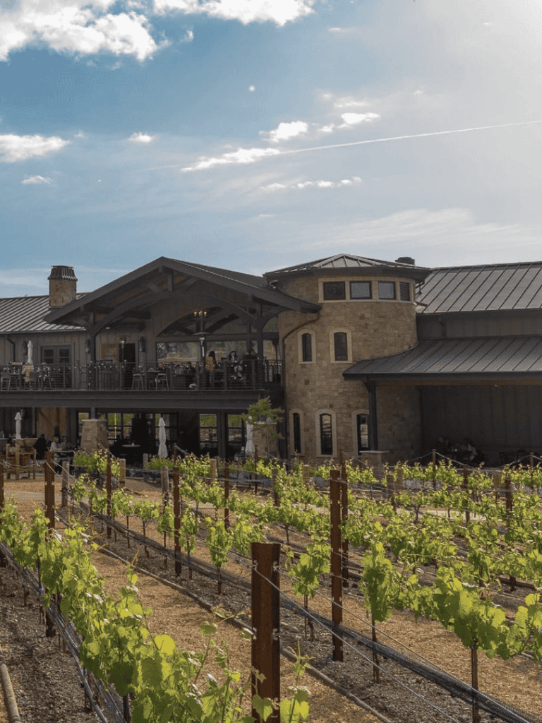 Vineyard and winery with outdoor seating and scenic architecture - perfect for wine tasting.