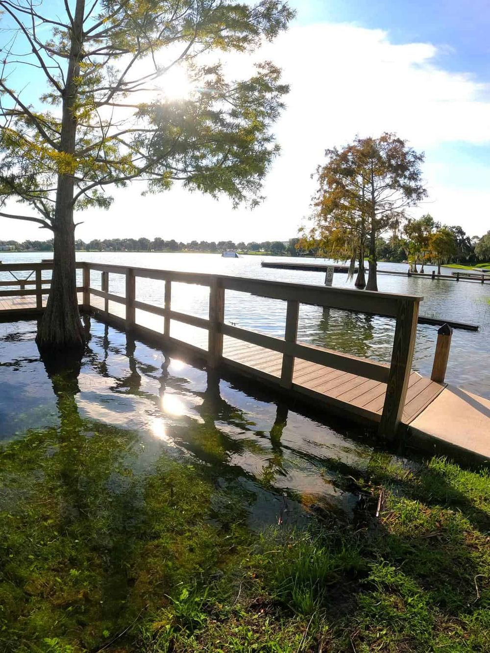 Tranquil lakeside dock surrounded by trees, perfect for nature walks and outdoor exploration.