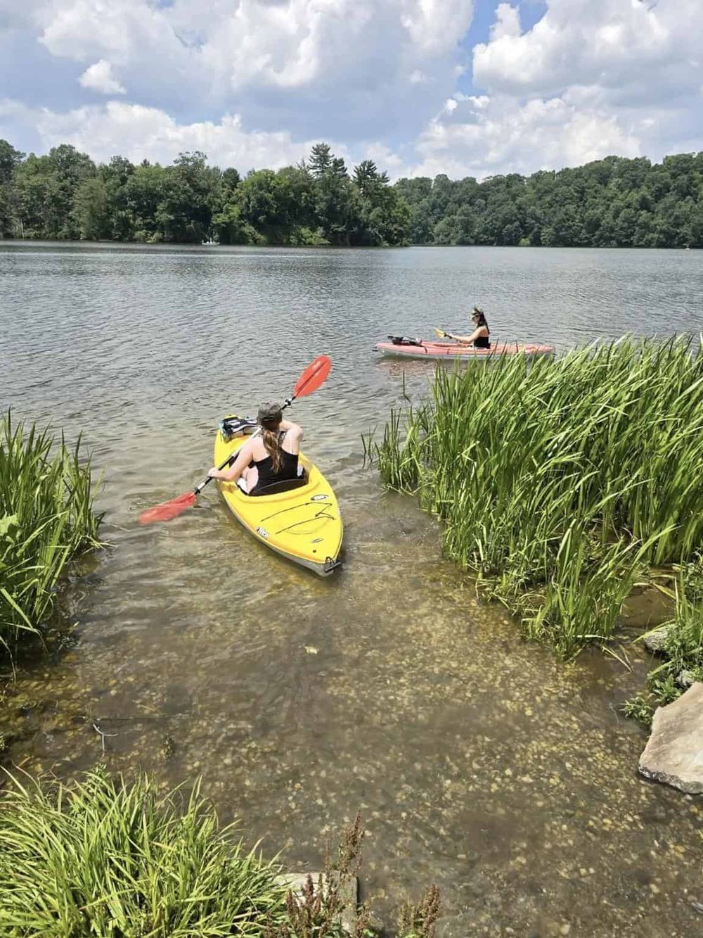 Kayakers on a scenic lake surrounded by lush greenery and clear water.