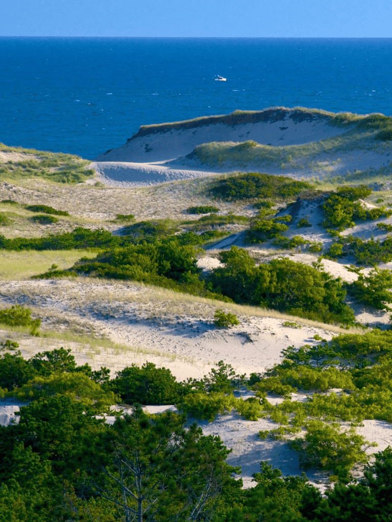 Vibrant coastal dunes with green vegetation overlooking the ocean, scenic landscape at QuestForDirections.
