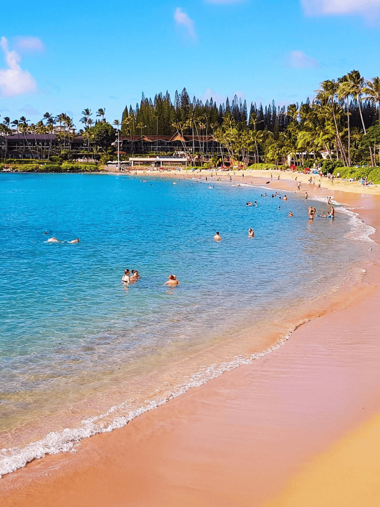 Relaxing tropical beach with clear blue water and palm trees, ideal for vacation and travel.