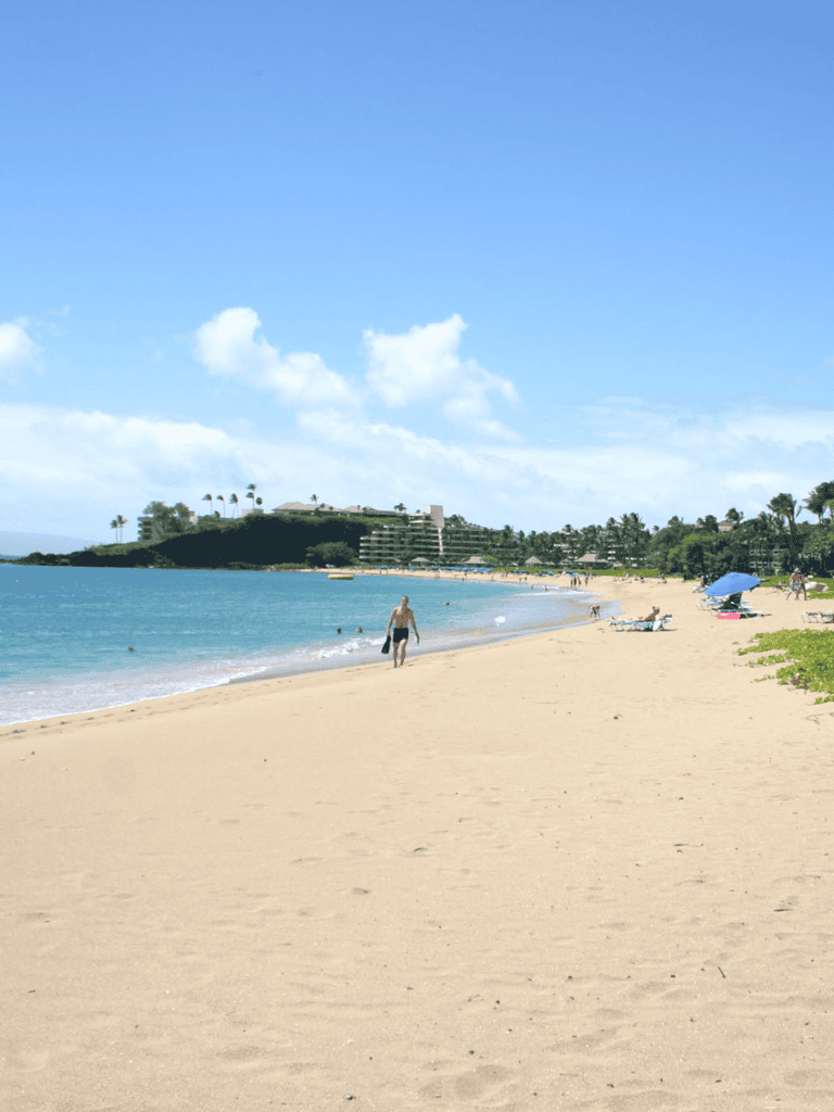 Tranquil beach scene at QuestForDirections, scenic coastal view with clear blue sky and relaxing shoreline.