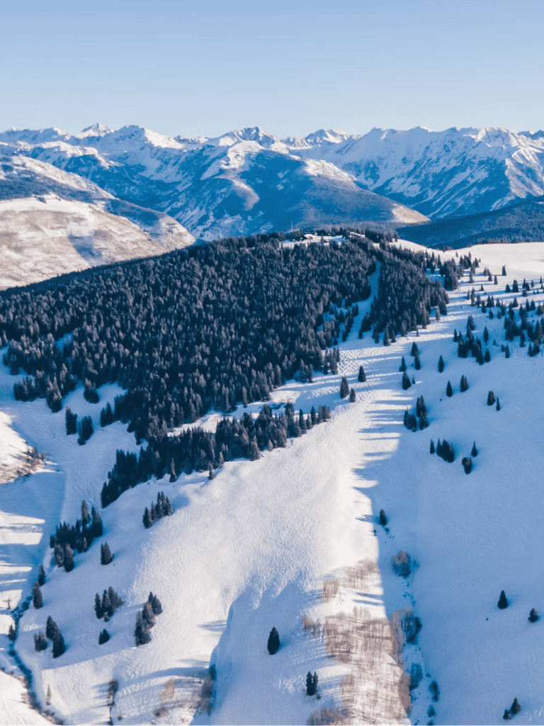 Snow-covered mountain landscape with dense pine forests and scenic valleys for outdoor adventure.