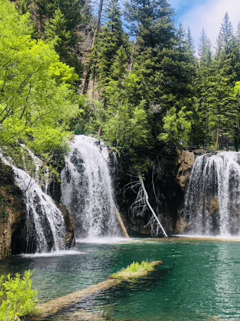 Vivid waterfall cascading over rocks in lush green forest setting.