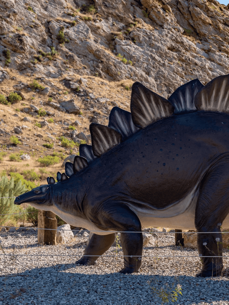 Dinosaurs, Stegosaurus model, outdoor park exhibit, realistic prehistoric creature, family-friendly attraction.