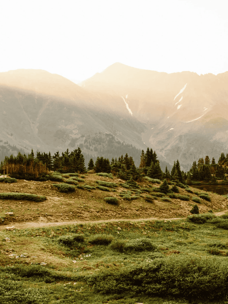 Serene mountain landscape with lush green trees and a winding path in a national park.