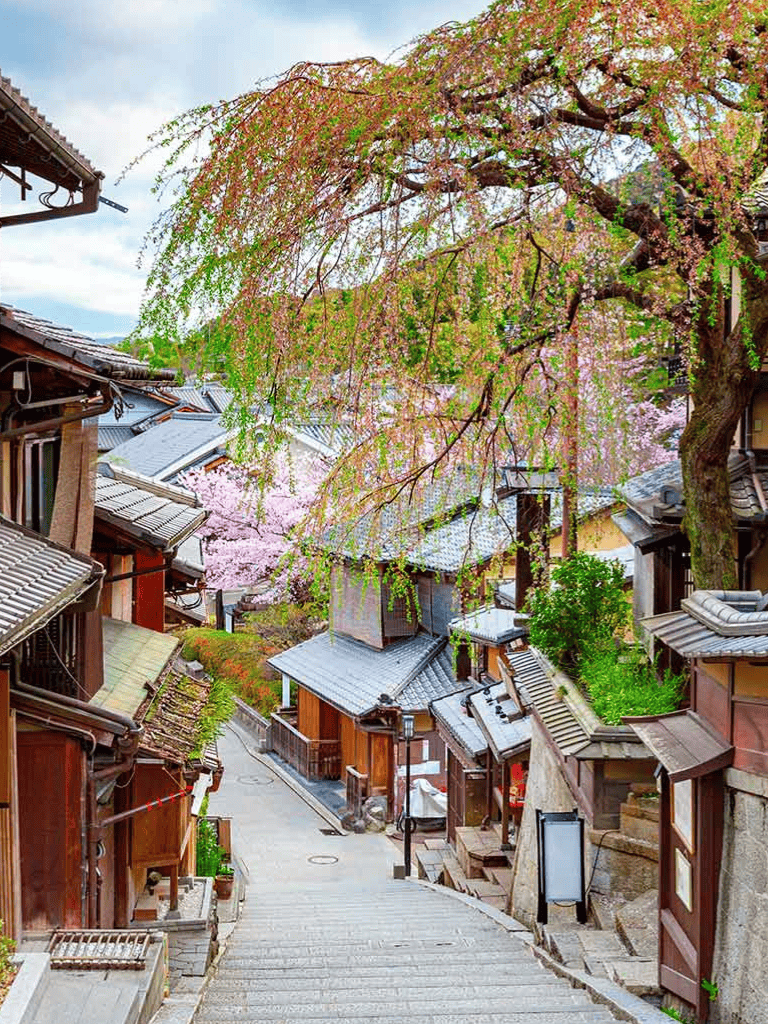 Cherry blossom street in a traditional Japanese village during springtime, tranquil scenery, scenic walkway, historic architecture.