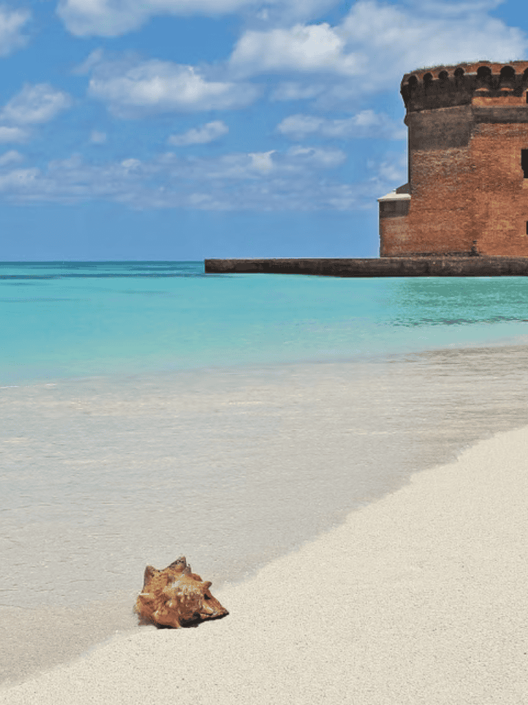 Seaside fortress overlooking turquoise waters and sandy beach with a seashell in the foreground.
