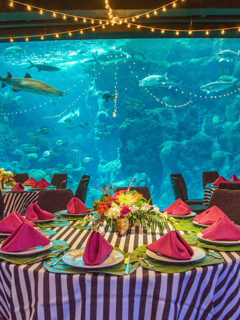 Colorful underwater aquarium dining experience with tropical fish and elegant table setting at QuestForDirections.