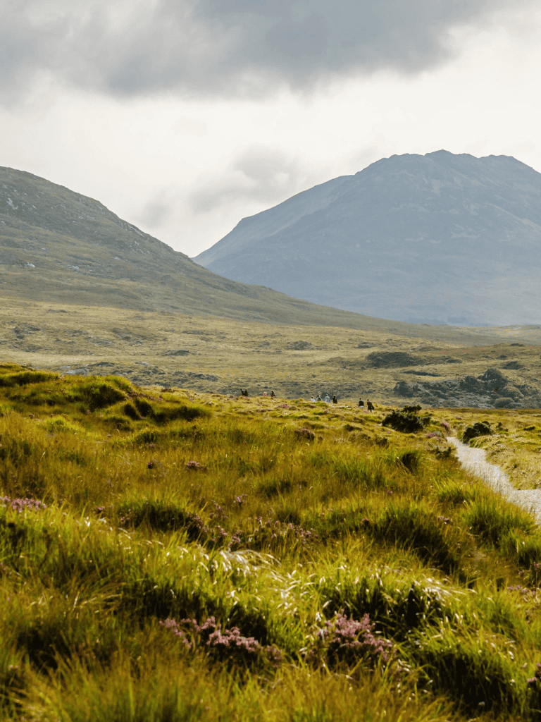 Vast mountainous landscape with lush green grassy plains and cloudy sky, ideal for outdoor adventures and nature exploration.