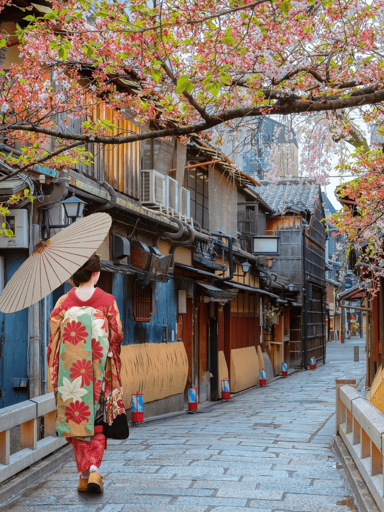 Serene woman in traditional kimono walking under cherry blossoms in historic Japanese street.