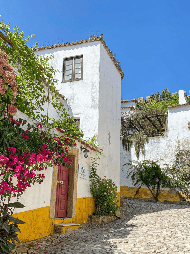 Quaint whitewashed village house with colorful flowers and cobblestone street in Portugal.