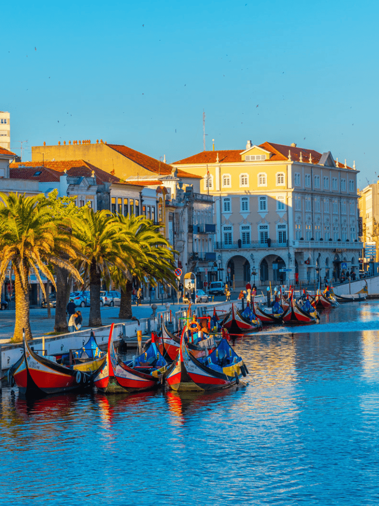 Colorful boats docked along a historic city waterfront with classic architecture and palm trees.