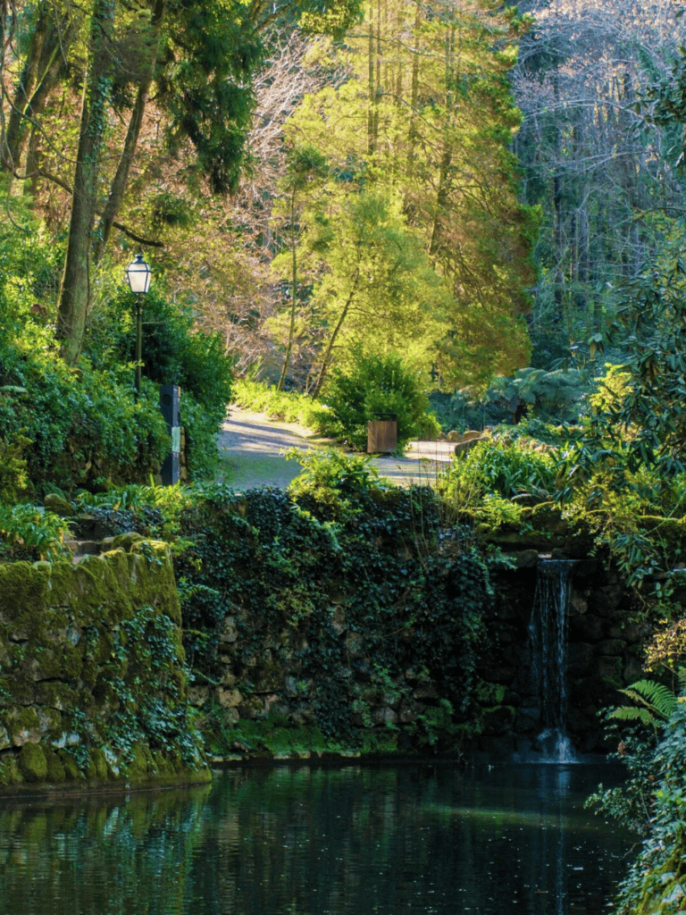 Serene wooded pathway with stream and waterfall in lush forest setting.