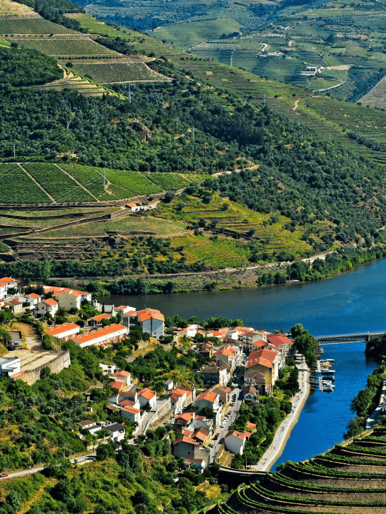 Vineyard terraced hills and riverside town, scenic landscape in Portugal.