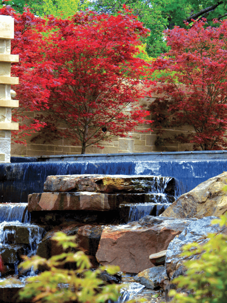Vibrant red maple trees with cascading waterfalls in a serene garden scene.