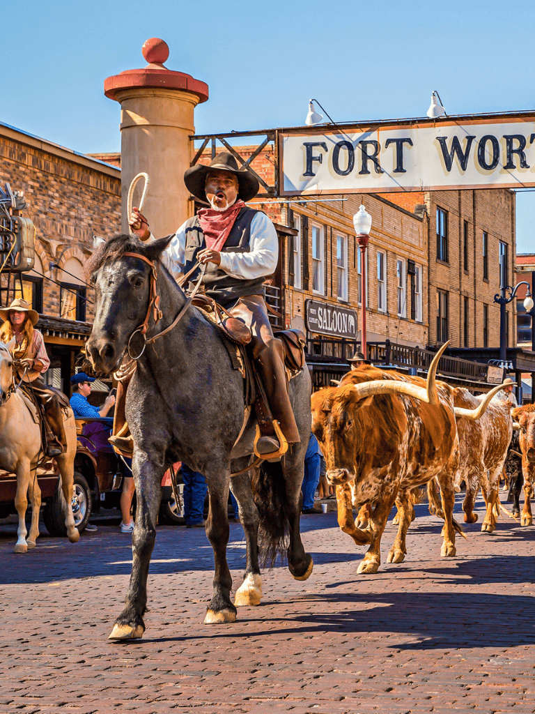 Historic Fort Worth rodeo cowboy horseback scene in downtown Texas.