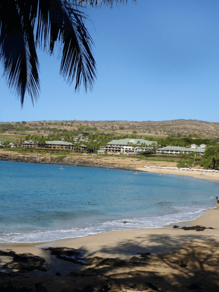 Lush tropical beach with clear blue water and palm trees, perfect for relaxing vacations and scenic seaside views.