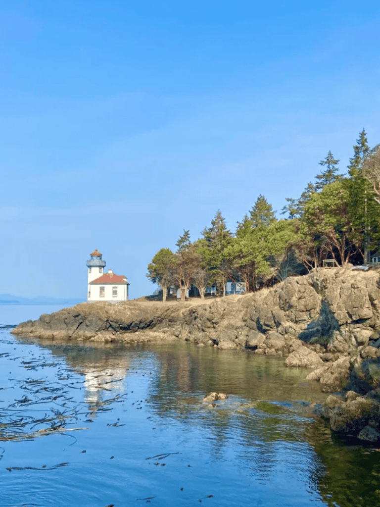 Lighthouse on rocky coastline with trees and calm water under blue sky.