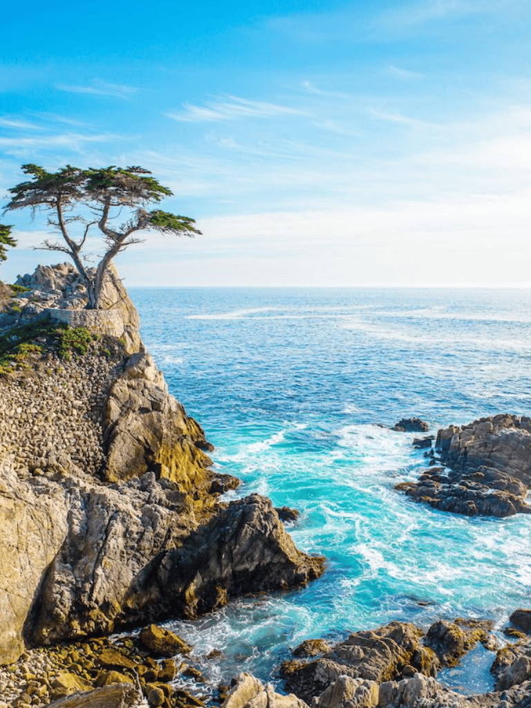 Breathtaking coastal landscape with rocky cliffs and a lone tree overlooking the ocean.