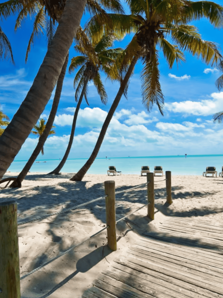 Relaxing tropical beach with palm trees and lounge chairs under blue skies.