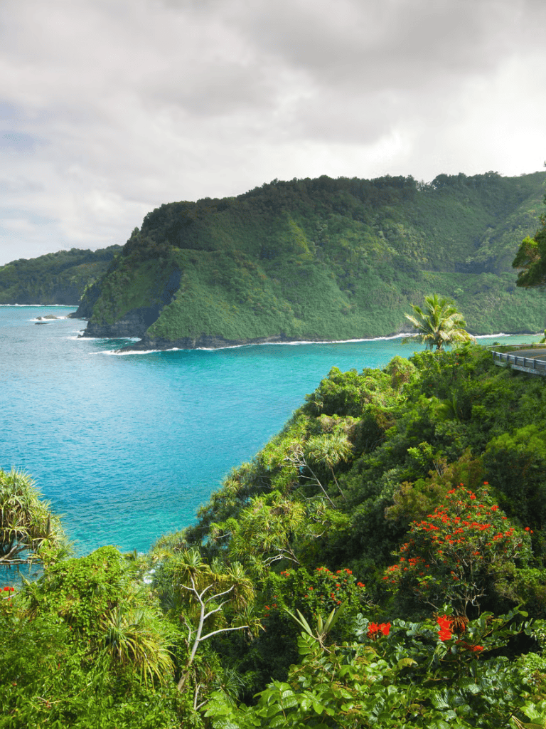 Vibrant tropical coastline with lush green cliffs and turquoise waters, ideal for travel and adventure.