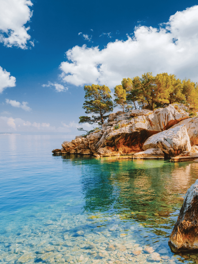 Tranquil coastal scene with rocky shoreline, pine trees, and clear blue water, perfect for exploring nature and adventures.