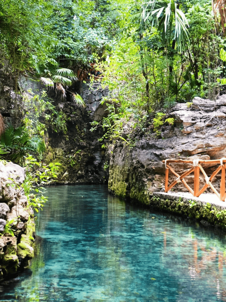 Tranquil natural pool with clear water surrounded by lush greenery and rock formations.