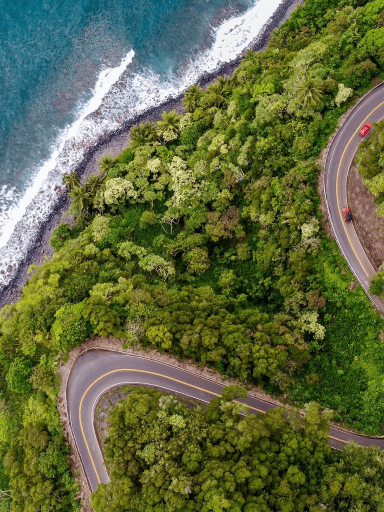 Lush green coastal rainforest near winding mountain road with ocean view, tropical scenery.
