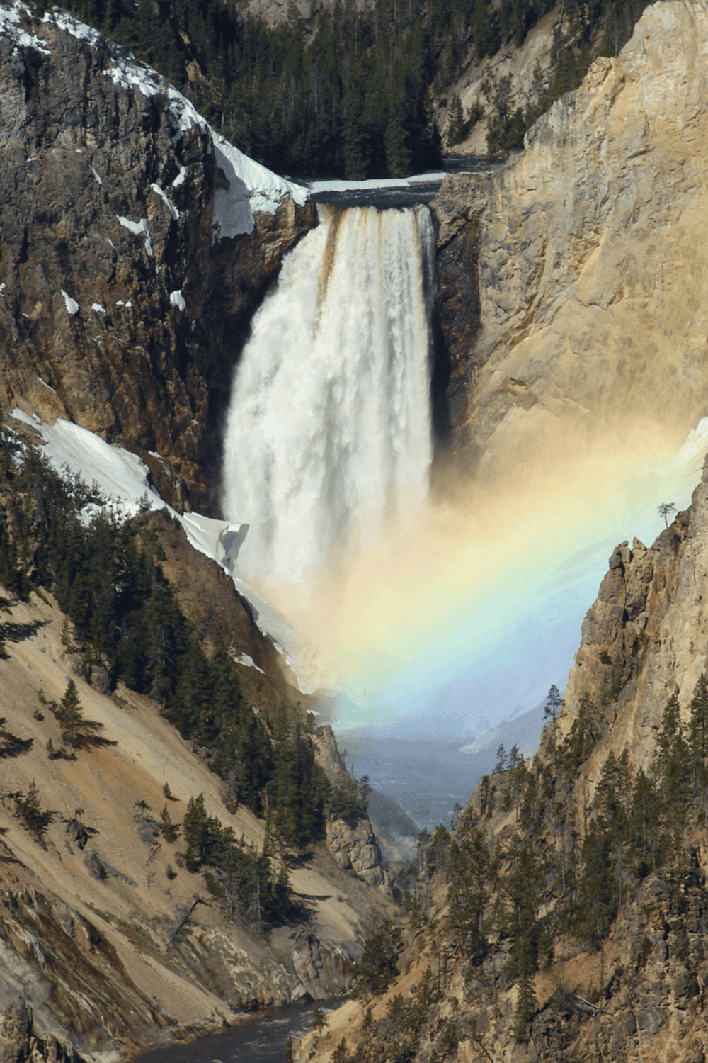Majestic waterfall in Yellowstone National Park with a rainbow, surrounded by rugged cliffs and evergreen trees.