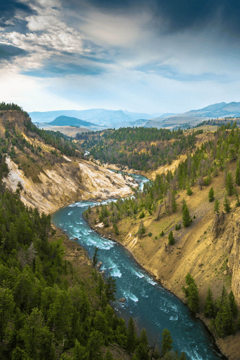 1. Stunning canyon landscape with river and pine trees, scenic outdoor adventure destination.