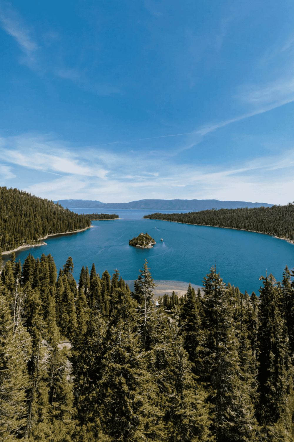 Serene lake surrounded by dense pine forest with blue sky, offering scenic outdoor exploration.