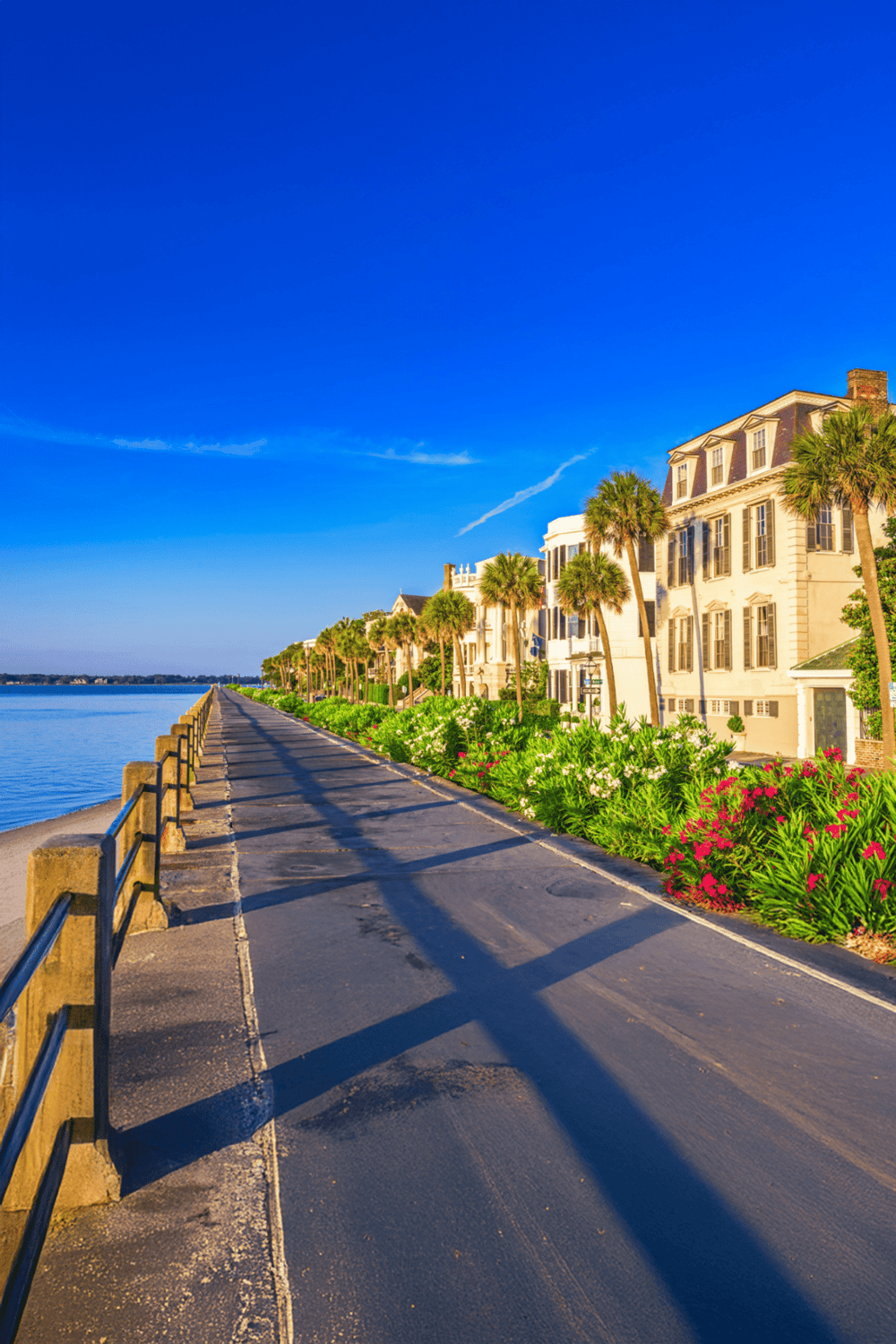 Waterfront promenade with historic houses and palm trees in Charleston, South Carolina.
