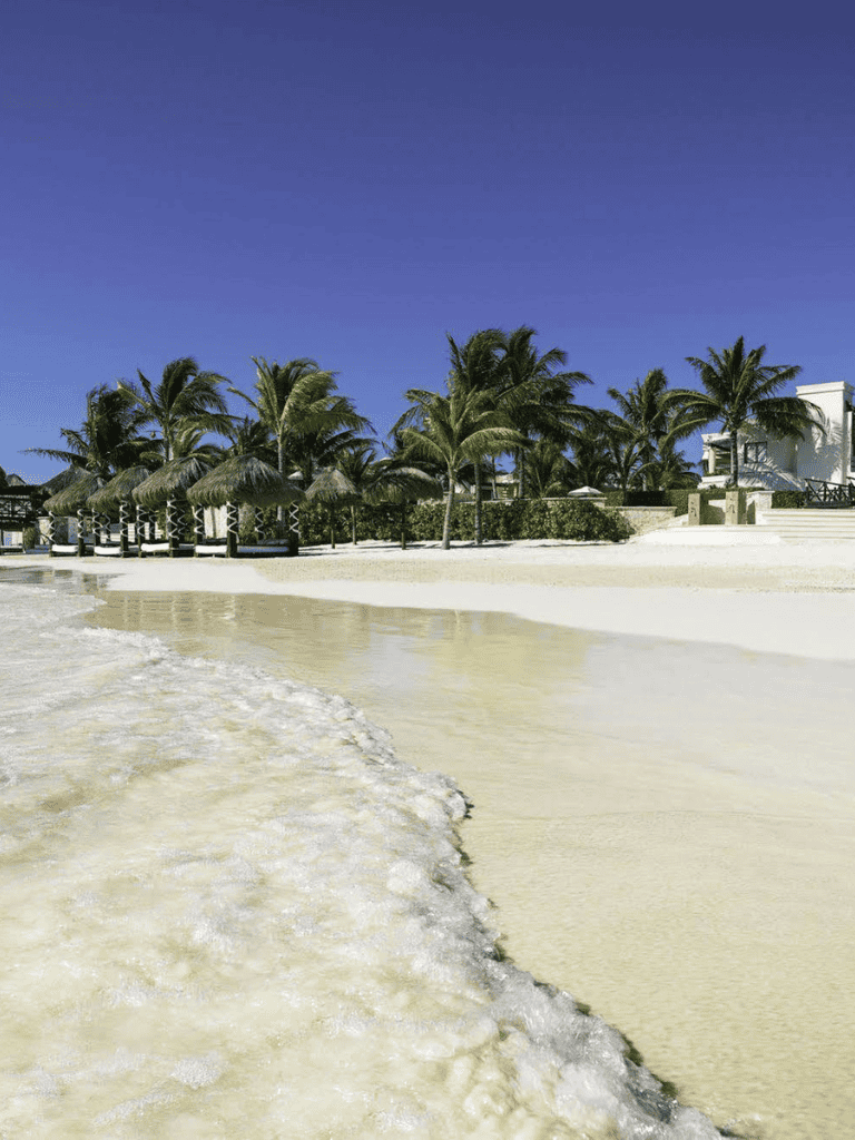 Relaxing tropical beach with palm trees and white sand, perfect for vacation and travel destinations.