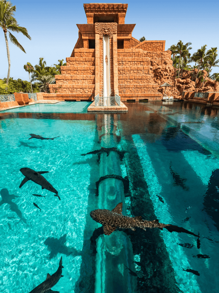 Ancient Mayan-themed water park with a water slide, clear swimming pool, and aquatic life in a lush tropical setting.