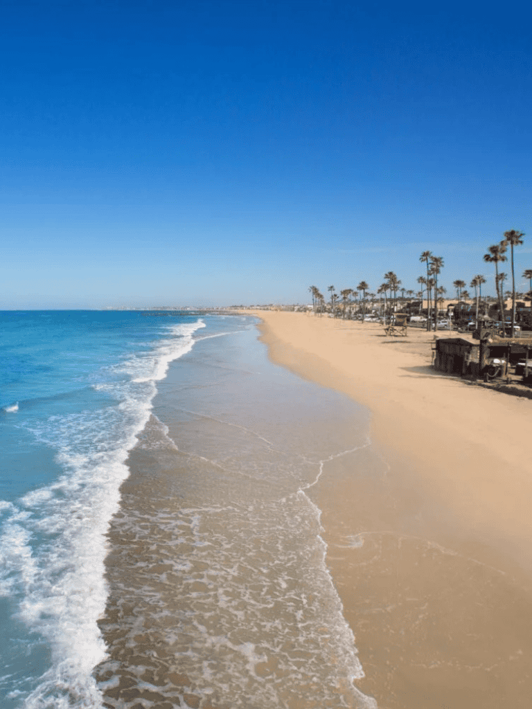 Gorgeous beach shoreline with palm trees and clear blue sky in a coastal destination.