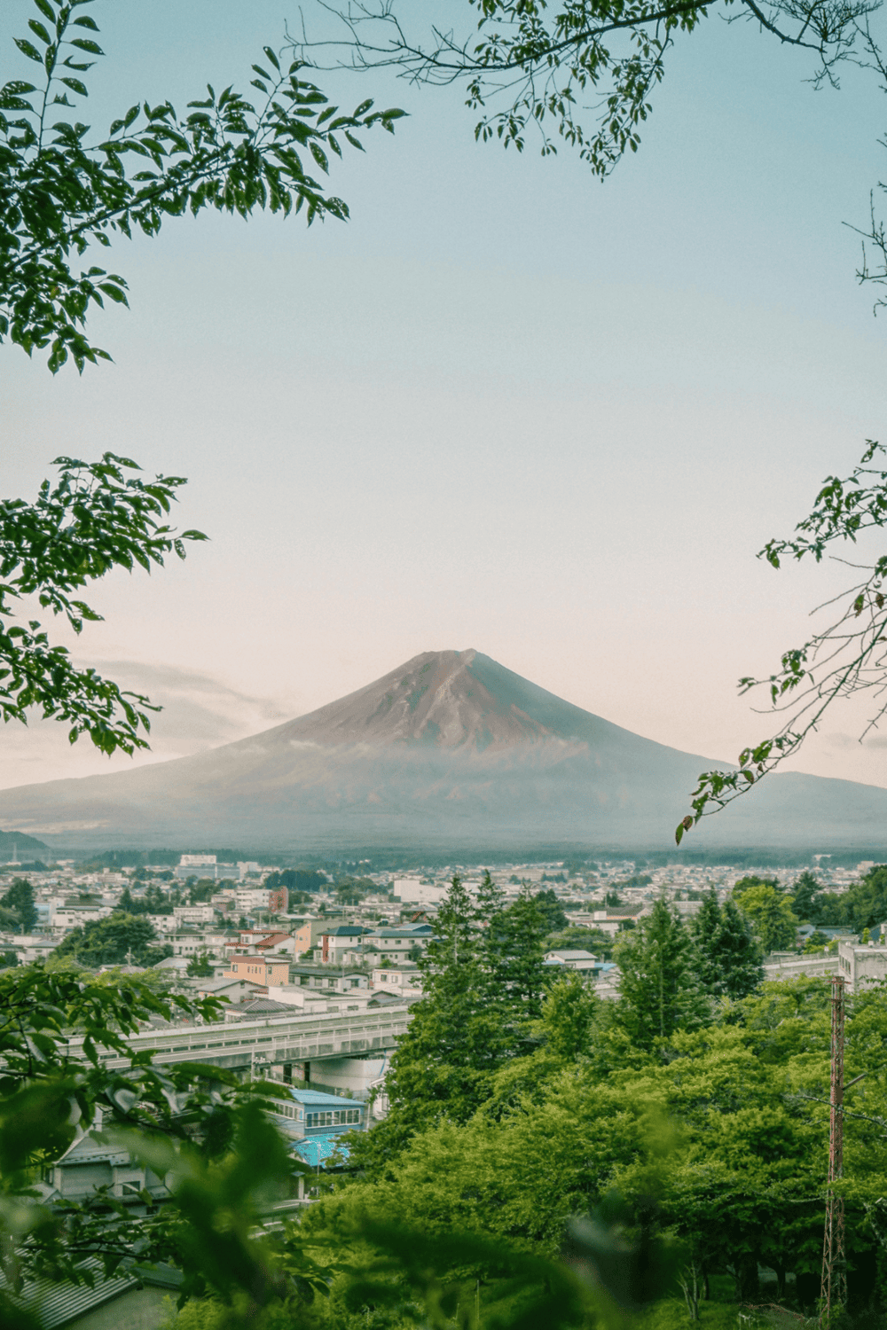 Mount Fuji view from a city in Japan, surrounded by lush green trees and urban landscape.