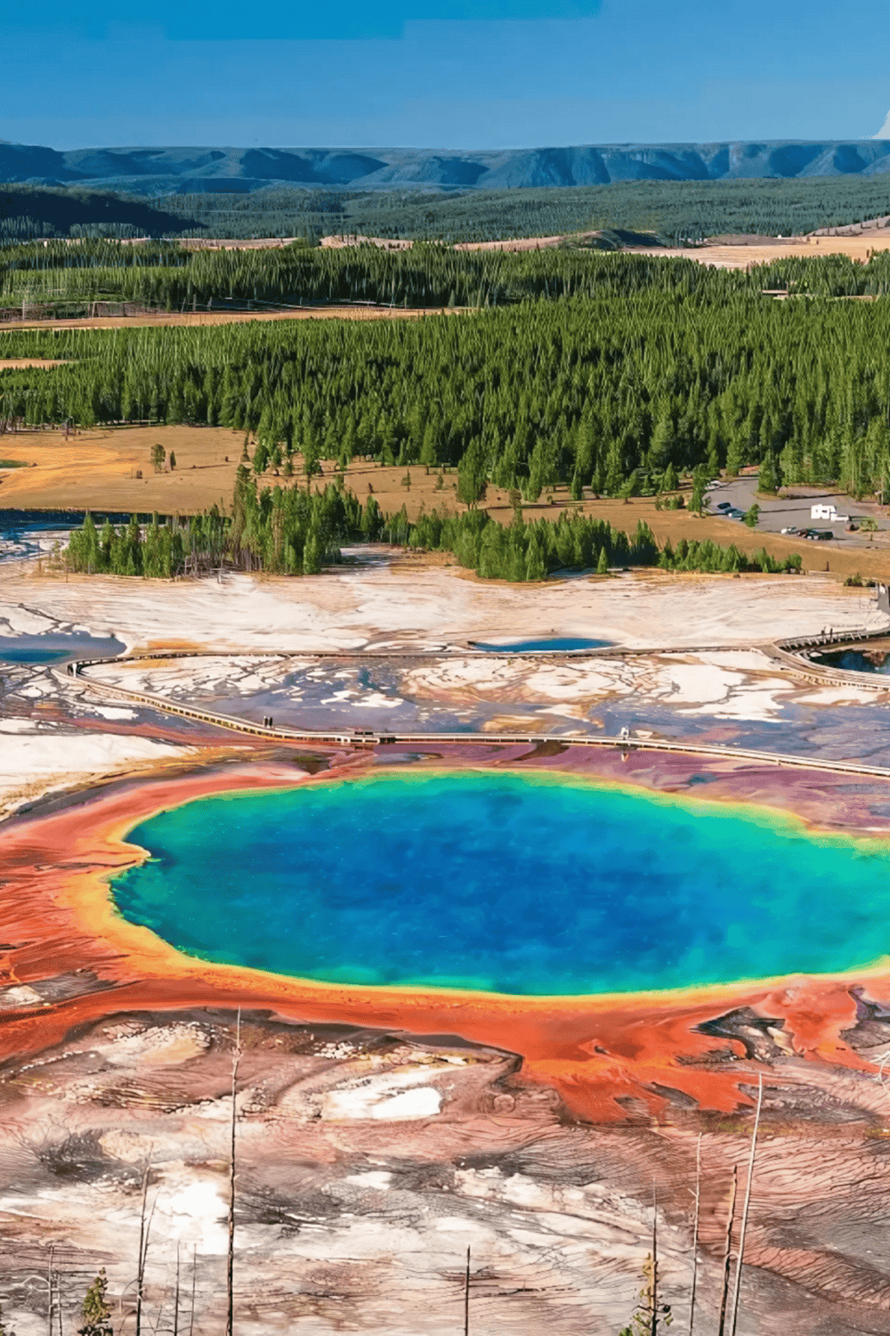 Colorful geothermal hot spring with vibrant hues and lush green forest landscape.