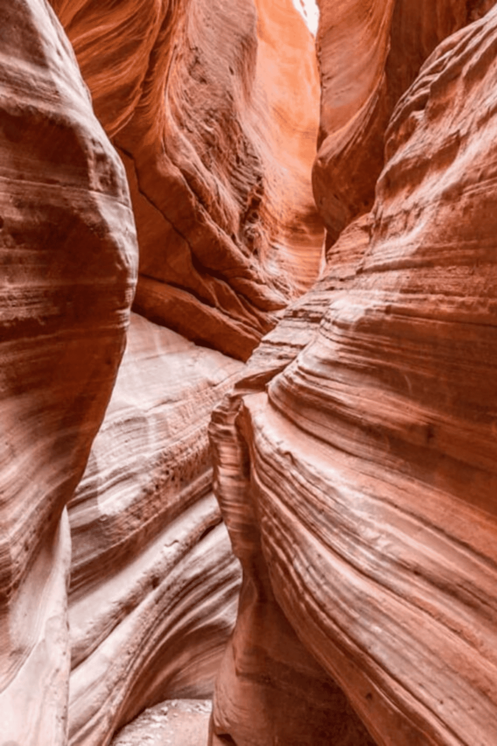 Vivid red sandstone slot canyon, exploring natural rock formations and winding pathways in desert landscape.