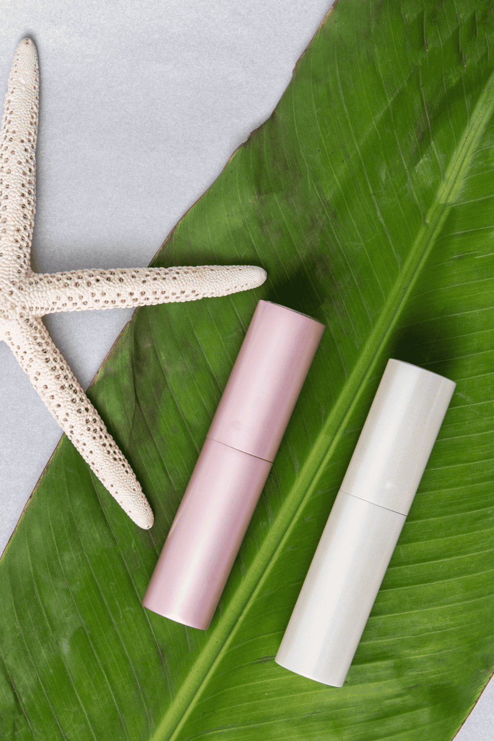Vegan skincare products with natural ingredients on tropical green leaf.