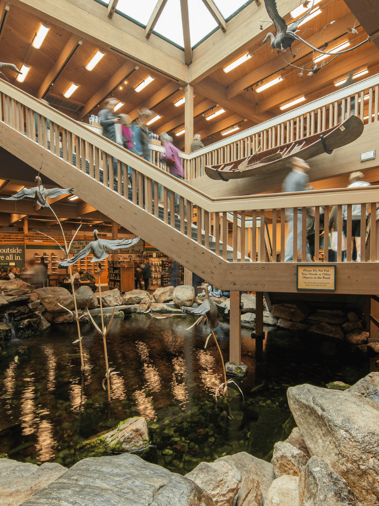 Wildlife exhibit in indoor nature center with wooden staircase, water features, and mounted flying bird sculptures.