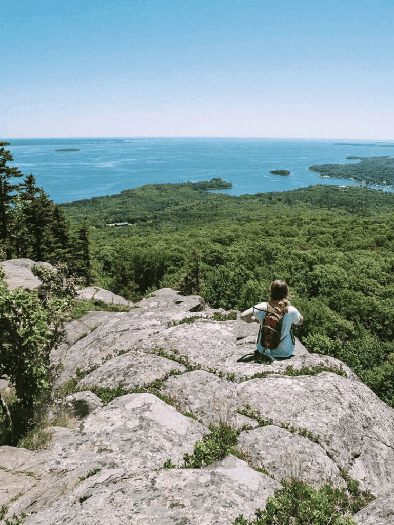 Breathtaking view of lush greenery and ocean from a mountain summit with a hiker enjoying nature.
