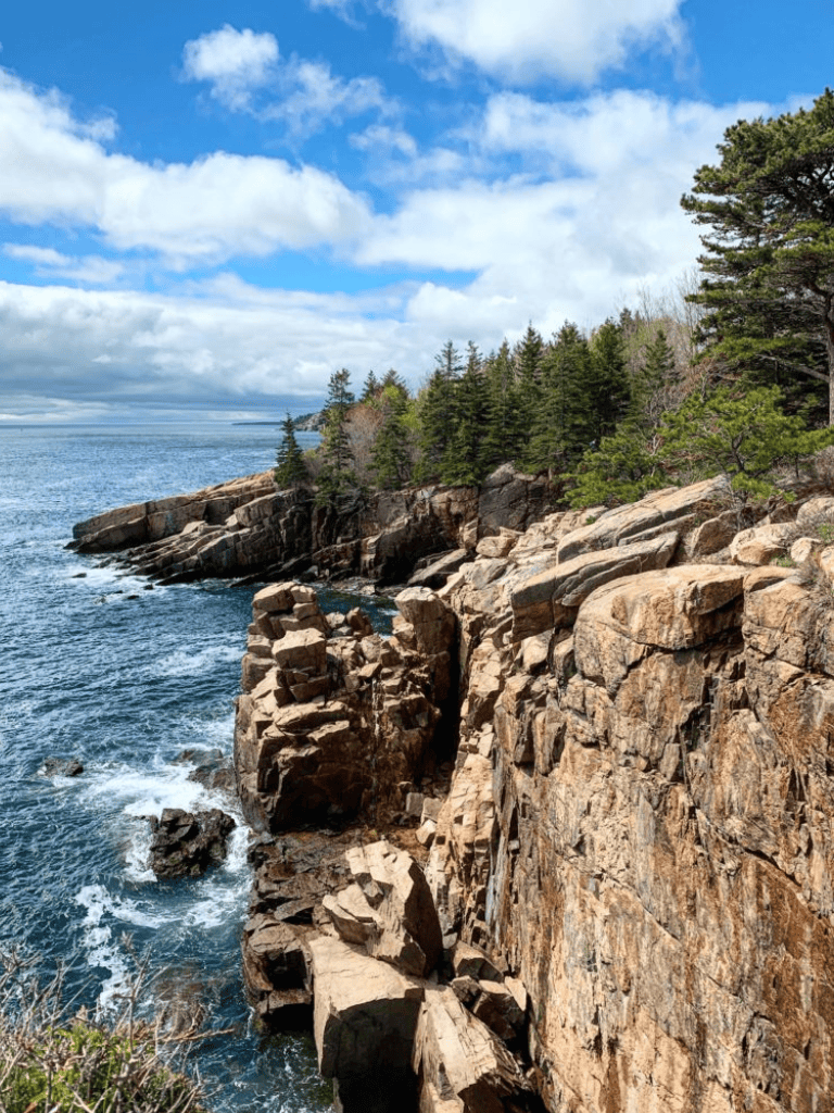 Vast ocean cliffs with lush pine trees under a partly cloudy sky, perfect for nature exploration and scenic coastal views.